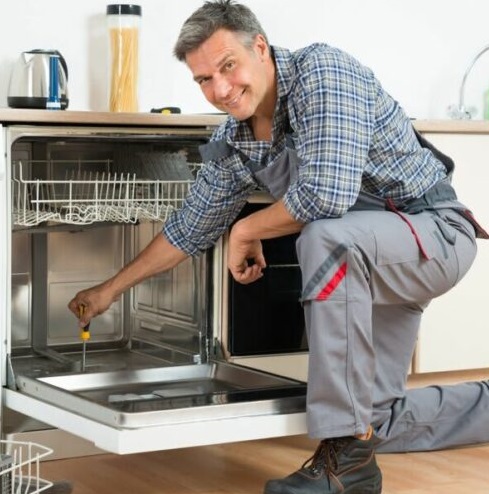 Dishwasher Repairing